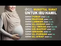 Download Lagu Surat Untuk Ibu Hamil (Ayat Surah Pilihan) Agar Janin Sehat dan Persalinan Lancar - Ahyani Zakiyani