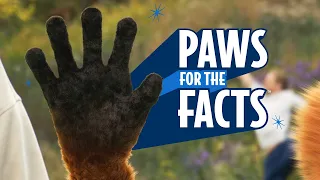 Fetch Paws for the Facts full version