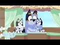Download Lagu Honk | BONUS BIT | Bluey