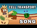 THE CELL TRANSPORT SONG