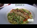 Go To BRIO and Enjoy Their New Seasonal Menu