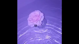 Never Get Used To People Life Letters Full Song No Glitch  Never Get Used To People Life Letters Full Song No Glitch