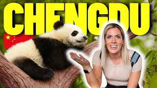 在中国成都看大熊猫