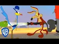 Lagu Looney Tunes | Spring Cleaning with Coyote | WB Kids