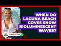 When Do Laguna Beach Coves Show Bioluminescent Waves - Learn About California