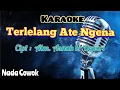 Lagu TERLELANG ATE NGENA |  KARAOKE LAGU KARO | NADA COWOK
