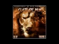 Download Lagu Reggae \u0026 Culture Mix 2013, Chronixx, Lutan Fyah, I-Octane, \u0026 More