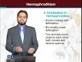 Hermaphroditism Principles of Animal Life-I ZOO514T - Topic133