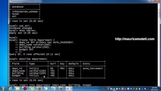 Structured Query Language Tutorial SQL Part 32 AUTO INCREMENT Command Prompt CMD
