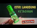 Lagu FUNGSI RAHASIA MINYAK KAYU PUTIH !! ISTRI AKAN PUAS DENGAN KEGUNAANNYA