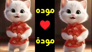 مودة ميمى اغنية باسم موده اغنيه بأسم مودة قلبى موده السعودية الجزائر المغرب الكويت اسم مودة 