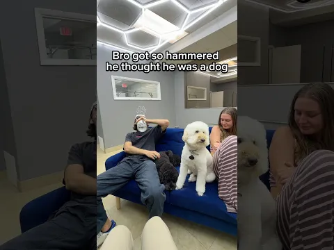 I became a dog for 5 minutes