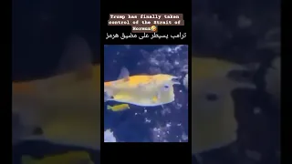 ترامب يسيطر على مضيق هرمز                                                          كوميديات دندنها