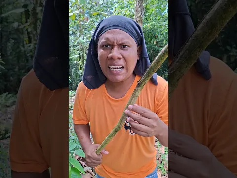 Me pego con un palo