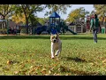 Living in Old North Milwaukee WI The Ultimate Local Guide Homes com