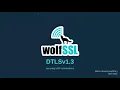 Everything You Need to Know about DTLS 1 3