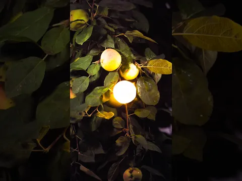 Exploding an Apple in 1500 FPS Slow Motion