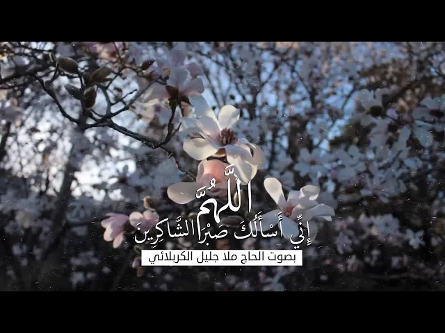 ⁣اللهم إني أسألك صبر الشاكرين | الملا جليل الكربلائي