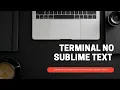 Instalando Terminal no Sublime Text 3 TERMINUS Windows e Linux