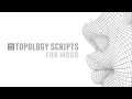 Modo Pushing Points Topology Scripts Collection
