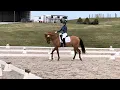 Jenna Brown Flexi - 2023 USEF Training Level Test 2
