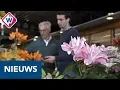 Download Lagu Meer dan 130 soorten lelies te bewonderen tijdens Leliedagen in Lisse - OMROEP WEST