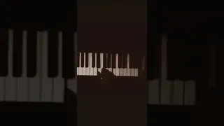 موسيقى غريبة الناس وائل جسار 