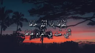  بروحي فتاة  عبدالرحمن محمد            دندنها
