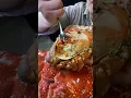 Mukbang kepiting alaska, Super besar🔥