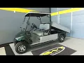 Metallic Green Advanced EV Advent FXA 48V Electric Golf Cart 2 Passenger Tilt Bed Working Cart