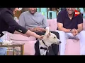 الكلب رامبو بيتمشى ف الاستوديو براحته  - ذكاء الكلب البلدي