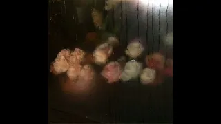 يكفي اني جيتك بليل وخذيتك   بدون موسيقى دندنها