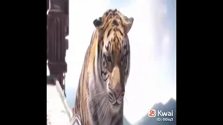 أغنية  الصديق الزين الوفي نعمة من الله   دندنها