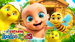 Los Pollitos Dicen Pío Pío , Abejita Chiquitita🐝y Cucú ¿Donde estás? - Música para Niños