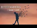 Bit Hogbeda Lofi version //Mehaboob Saab /| Raambo-2 |