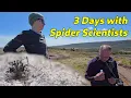 Download Lagu I Spent 3 Days with Spider Scientists - Here's What I Learned