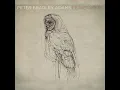 The Longer I Run - Peter Bradley Adams