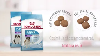 Royal Canin Giant Puppy/Junior eledelek - Óriás testű kölyök kutyák részére | Petissimo