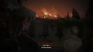 The Last of Us™ Part II Scar city burn scene