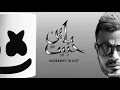 Amr diab ft Marshmello bayen habit "In Love" عمرو دياب مارشميلو باين حبيت