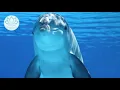 Download Lagu Kindermeditatie om lekker te slapen