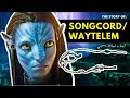 Download Lagu The Songcord: What is This Beautiful Song in Avatar: The Way of Water