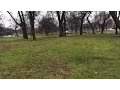 Metal Detecting Chicago Parks with the guys from the Friendly Metal Detecting Forum