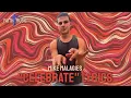CELEBRATE - MIKE MALAGIES - FAITH IN MUSIC LYRIC VIDEO