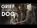 When Our Dogs Cross the Rainbow Bridge A Guide to Grief and Healing