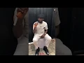 Download Lagu Prince Gozie Okeke | Live Performance in Ugwuta IMO State.