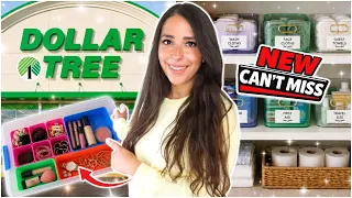 🚨 NEW Dollar Tree Finds That Are Too Good to Leave Behind! 🛒✨