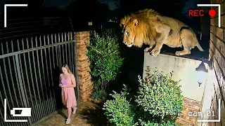 Moments Filmed Seconds Before Disasters