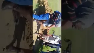 fight during funeral