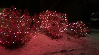 Snowy Cape Cod Christmas 2022